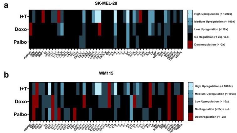https://cdn.ncbi.nlm.nih.gov/pmc/blobs/4af3/9103004/69fadcd2f1ec/cells-11-01514-g0A2.jpg