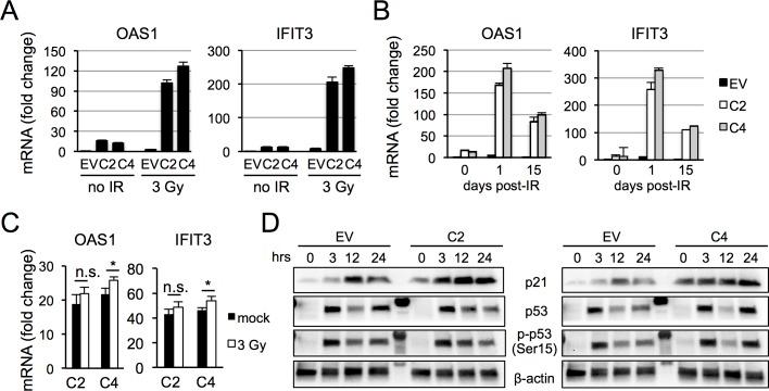 https://cdn.ncbi.nlm.nih.gov/pmc/blobs/4af4/5874037/e17211e5565a/pone.0194611.g006.jpg