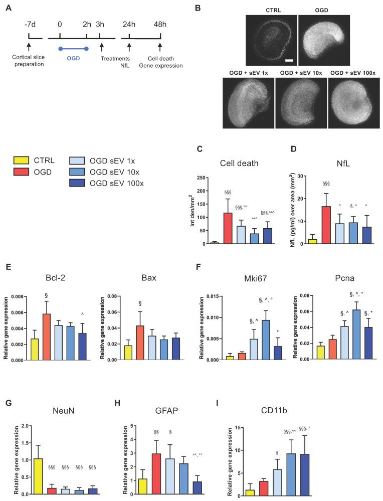 https://cdn.ncbi.nlm.nih.gov/pmc/blobs/4af5/11628337/eea4c8a4c04c/ijbsv20p6255g006.jpg