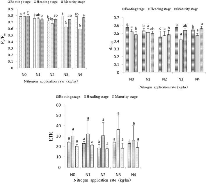 https://cdn.ncbi.nlm.nih.gov/pmc/blobs/4af5/8021548/5b5cb50ae810/41598_2021_86858_Fig2_HTML.jpg
