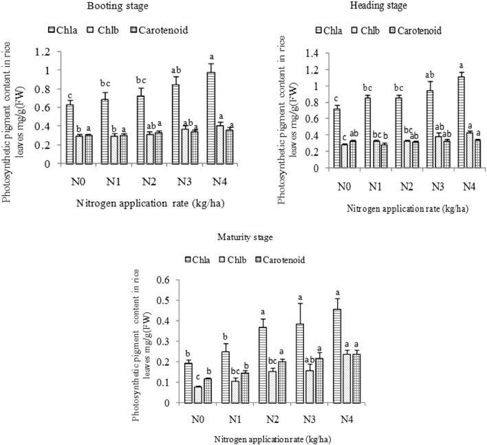 https://cdn.ncbi.nlm.nih.gov/pmc/blobs/4af5/8021548/997bfa07fe4f/41598_2021_86858_Fig1_HTML.jpg