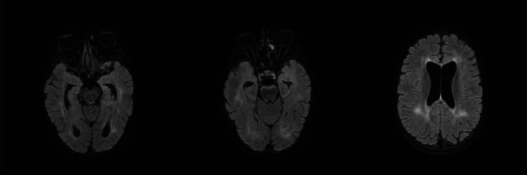 https://cdn.ncbi.nlm.nih.gov/pmc/blobs/4af6/12145622/ee677c955628/13052_2025_2026_Fig4_HTML.jpg
