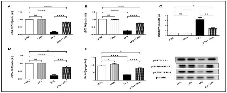 https://cdn.ncbi.nlm.nih.gov/pmc/blobs/4af6/12299754/fdfdf0d0bebd/toxics-13-00594-g008.jpg