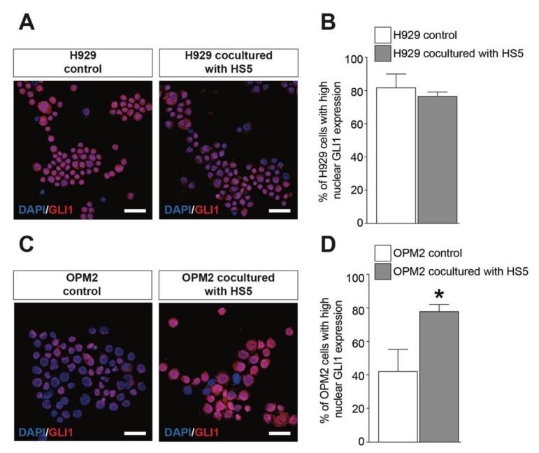 https://cdn.ncbi.nlm.nih.gov/pmc/blobs/4af6/7073172/0eeb265c63ea/cancers-12-00323-g005.jpg
