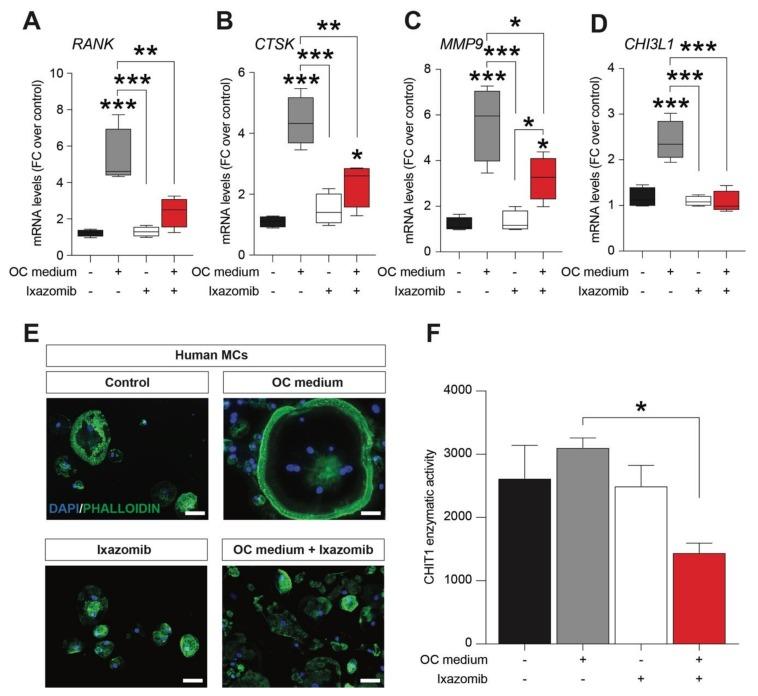https://cdn.ncbi.nlm.nih.gov/pmc/blobs/4af6/7073172/f0baef95f562/cancers-12-00323-g001.jpg