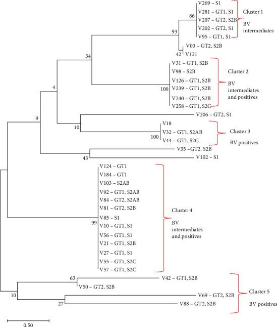 https://cdn.ncbi.nlm.nih.gov/pmc/blobs/4af8/7352148/084df1f866a5/IDOG2020-3176407.005.jpg