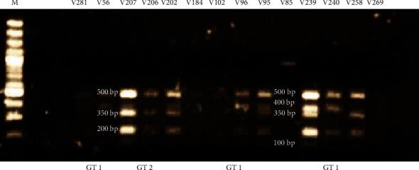 https://cdn.ncbi.nlm.nih.gov/pmc/blobs/4af8/7352148/28a530edd116/IDOG2020-3176407.002.jpg