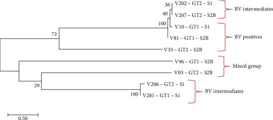 https://cdn.ncbi.nlm.nih.gov/pmc/blobs/4af8/7352148/7350bc3ef55e/IDOG2020-3176407.007.jpg