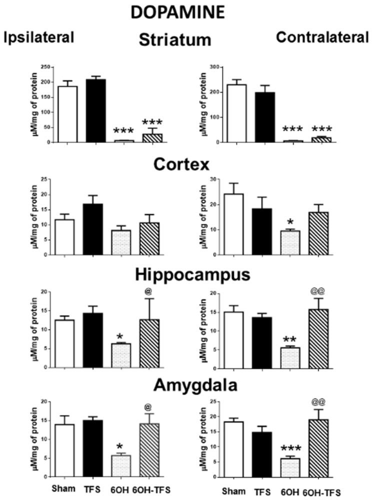 https://cdn.ncbi.nlm.nih.gov/pmc/blobs/4afa/8401891/df19962cc6e8/pharmaceuticals-14-00706-g001.jpg