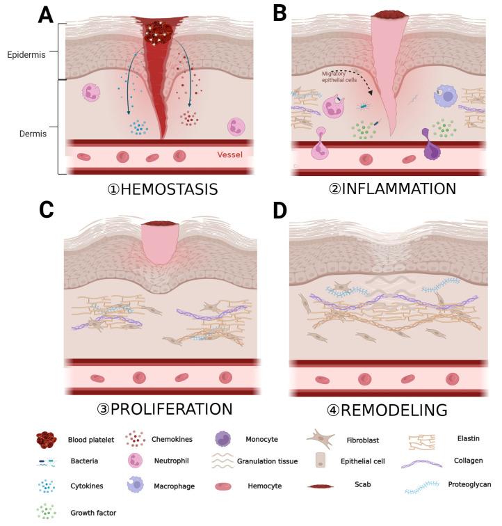 https://cdn.ncbi.nlm.nih.gov/pmc/blobs/4afb/10780332/ed56eb26b947/polymers-16-00024-g001.jpg