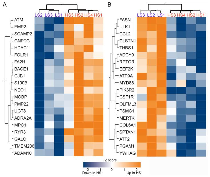 https://cdn.ncbi.nlm.nih.gov/pmc/blobs/4afb/10932332/3be937d37944/ijms-25-02676-g003.jpg