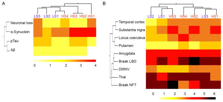 https://cdn.ncbi.nlm.nih.gov/pmc/blobs/4afb/10932332/88da7cc961c3/ijms-25-02676-g001.jpg