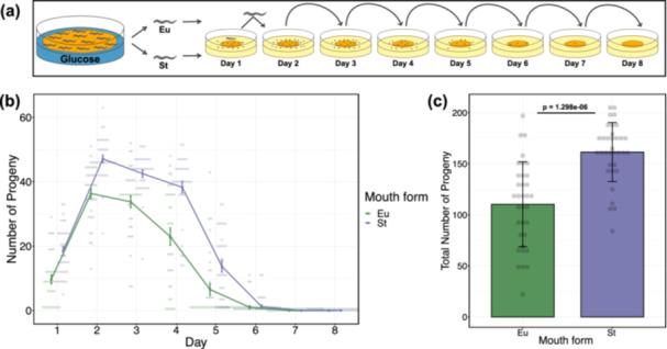 https://cdn.ncbi.nlm.nih.gov/pmc/blobs/4afb/11788882/a81c1d6354a3/JEZ-344-94-g007.jpg