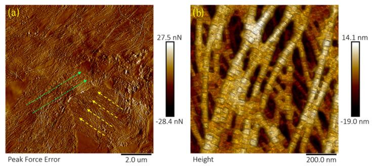 https://cdn.ncbi.nlm.nih.gov/pmc/blobs/4afb/7956234/9dd86541cc94/sensors-21-01629-g002.jpg