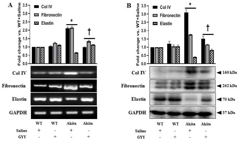 https://cdn.ncbi.nlm.nih.gov/pmc/blobs/4afd/8533431/01bf8fa13a6a/biomolecules-11-01477-g007.jpg