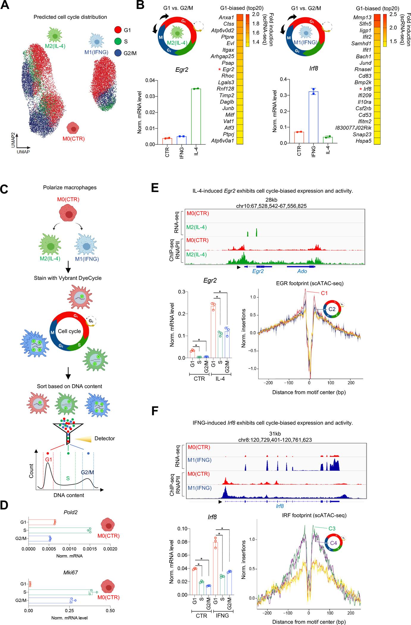 https://cdn.ncbi.nlm.nih.gov/pmc/blobs/4afd/9831293/c9131f90c4c0/nihms-1855552-f0004.jpg