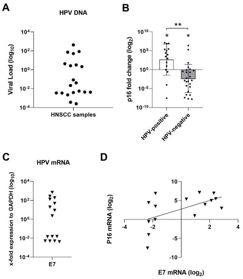 https://cdn.ncbi.nlm.nih.gov/pmc/blobs/4afe/8268104/df6f9b3d3dc2/cancers-13-03370-g001.jpg