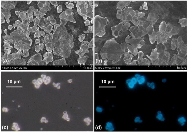 https://cdn.ncbi.nlm.nih.gov/pmc/blobs/4b03/6041296/baa36d0f92f7/41598_2018_28834_Fig3_HTML.jpg