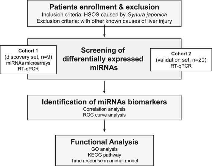 https://cdn.ncbi.nlm.nih.gov/pmc/blobs/4b03/7933570/ec6dce119371/fphar-12-627126-g001.jpg