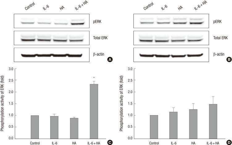 https://cdn.ncbi.nlm.nih.gov/pmc/blobs/4b04/4248007/8436b31d40b0/jkms-29-S210-g003.jpg