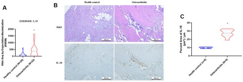 https://cdn.ncbi.nlm.nih.gov/pmc/blobs/4b06/10866453/1498132110ea/aging-16-205462-g001.jpg