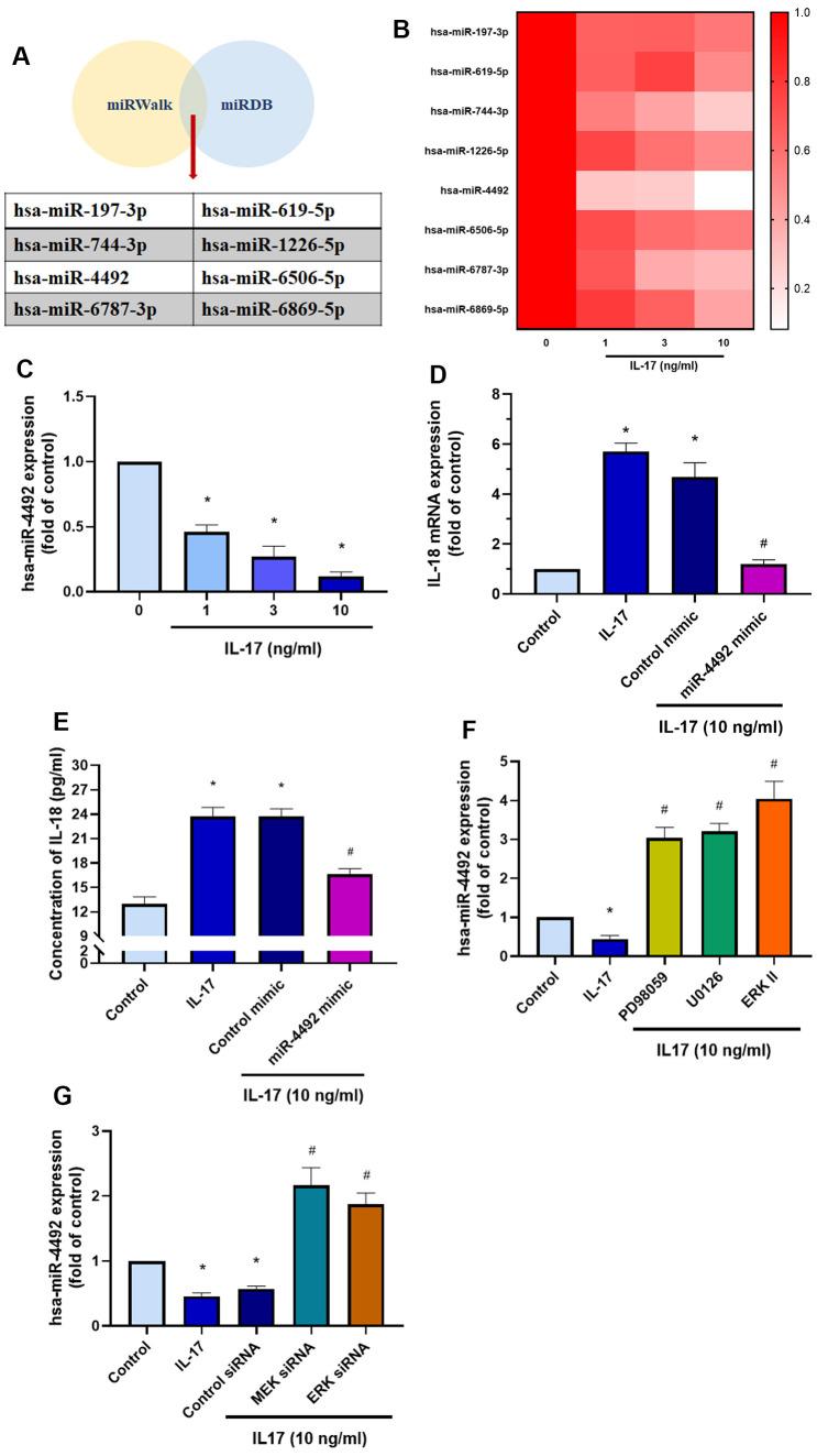 https://cdn.ncbi.nlm.nih.gov/pmc/blobs/4b06/10866453/b595373c38a4/aging-16-205462-g006.jpg