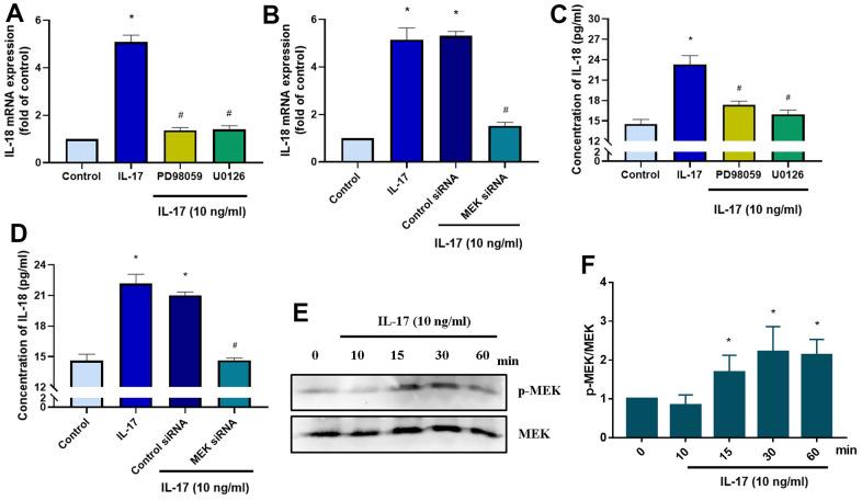 https://cdn.ncbi.nlm.nih.gov/pmc/blobs/4b06/10866453/d33ffc9941e4/aging-16-205462-g004.jpg