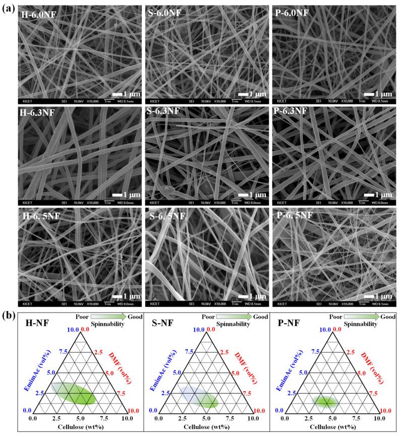 https://cdn.ncbi.nlm.nih.gov/pmc/blobs/4b07/10254128/ec3b6020032b/nanomaterials-13-01720-g003.jpg