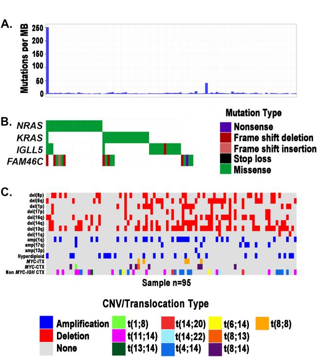 https://cdn.ncbi.nlm.nih.gov/pmc/blobs/4b07/5862875/9cfc7aec085e/41408_2018_62_Fig5_HTML.jpg