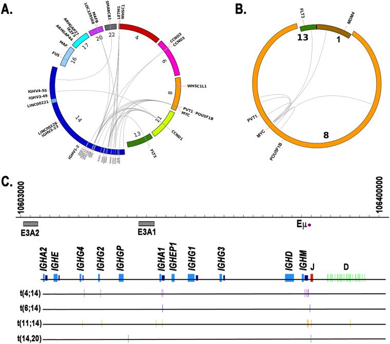 https://cdn.ncbi.nlm.nih.gov/pmc/blobs/4b07/5862875/d16ee3c859f4/41408_2018_62_Fig2_HTML.jpg