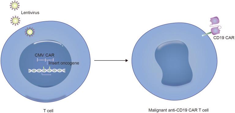 https://cdn.ncbi.nlm.nih.gov/pmc/blobs/4b08/11914092/9259fb13e7b0/fimmu-16-1490491-g004.jpg