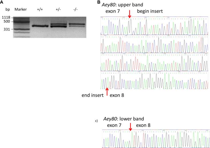 https://cdn.ncbi.nlm.nih.gov/pmc/blobs/4b0b/3626302/457e8a5a4788/mv-v19-877-f3.jpg