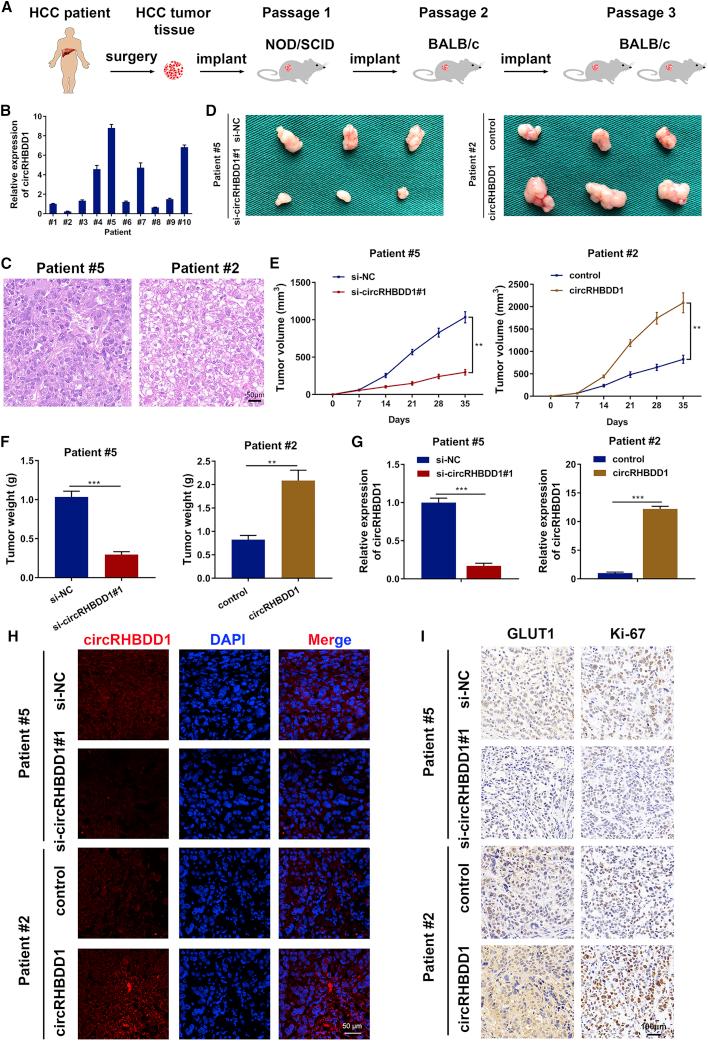 https://cdn.ncbi.nlm.nih.gov/pmc/blobs/4b0b/8908059/645f02cafc5e/gr5.jpg