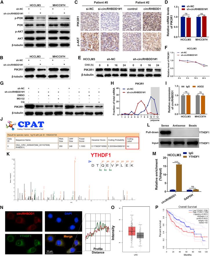 https://cdn.ncbi.nlm.nih.gov/pmc/blobs/4b0b/8908059/ad3d0969d0ab/gr6.jpg