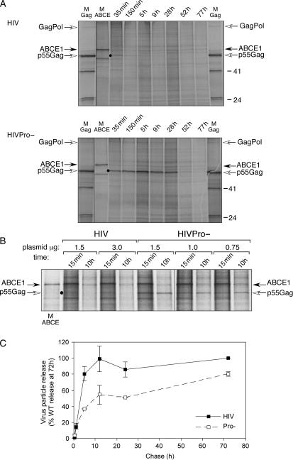 https://cdn.ncbi.nlm.nih.gov/pmc/blobs/4b0f/1865004/7a314799f6ec/tra0008-0195-f4.jpg