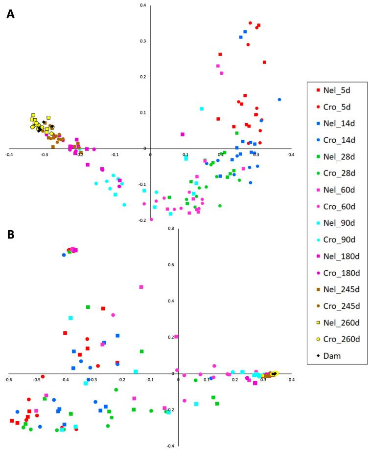 https://cdn.ncbi.nlm.nih.gov/pmc/blobs/4b11/11117347/dd7fb7d0367b/animals-14-01447-g002.jpg