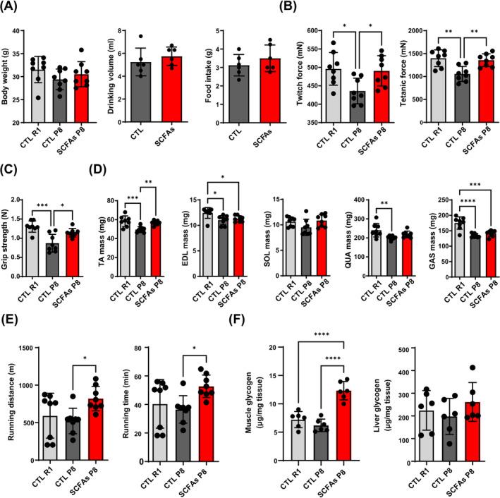 https://cdn.ncbi.nlm.nih.gov/pmc/blobs/4b11/11634463/1332c61e089b/JCSM-15-2387-g006.jpg