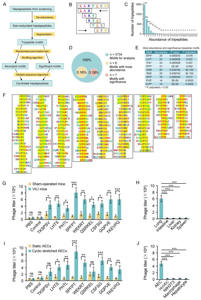 https://cdn.ncbi.nlm.nih.gov/pmc/blobs/4b11/12160035/1b7671f4c1f0/thnov15p6534g002.jpg