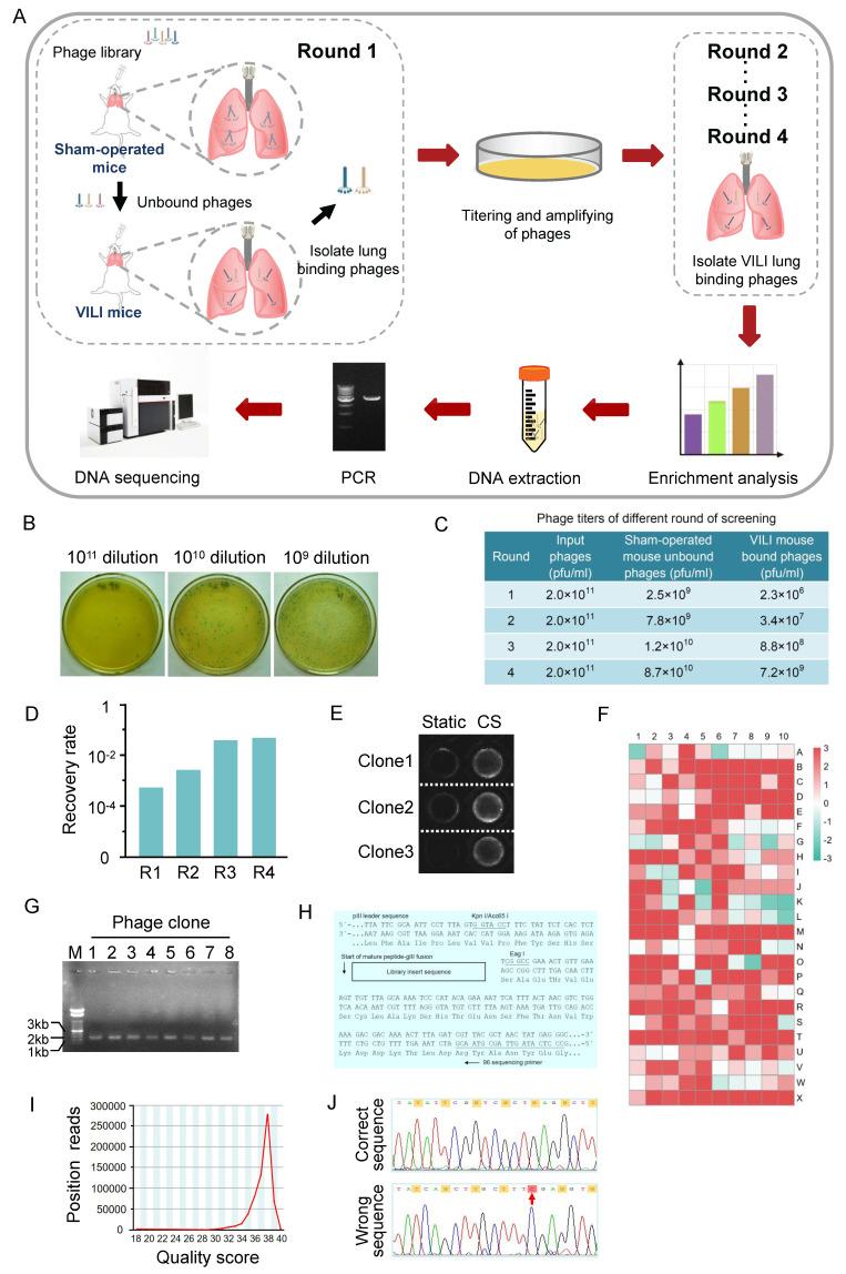 https://cdn.ncbi.nlm.nih.gov/pmc/blobs/4b11/12160035/385c515d97c9/thnov15p6534g001.jpg