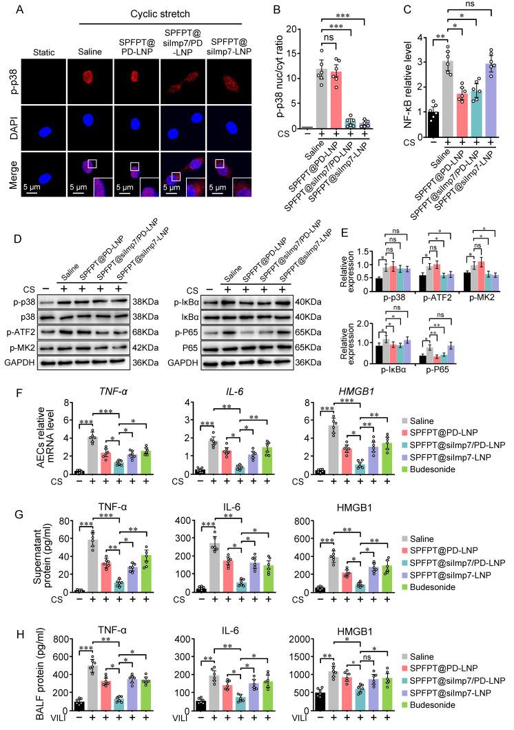 https://cdn.ncbi.nlm.nih.gov/pmc/blobs/4b11/12160035/652ff0c5529a/thnov15p6534g006.jpg