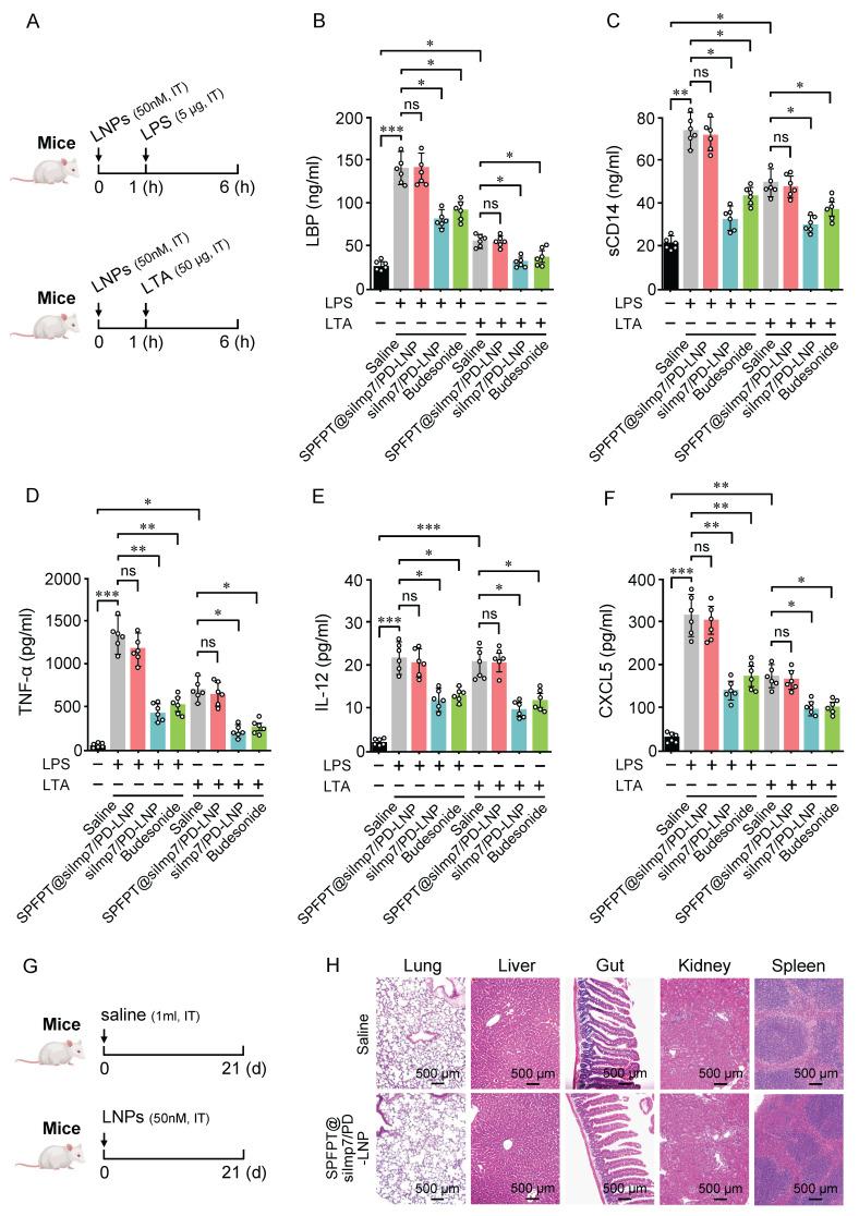 https://cdn.ncbi.nlm.nih.gov/pmc/blobs/4b11/12160035/ad9b20fc0ddc/thnov15p6534g008.jpg
