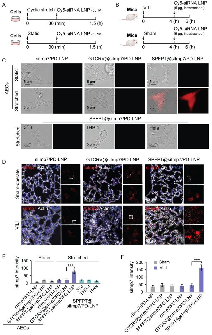 https://cdn.ncbi.nlm.nih.gov/pmc/blobs/4b11/12160035/c5c50bc8a1bc/thnov15p6534g005.jpg