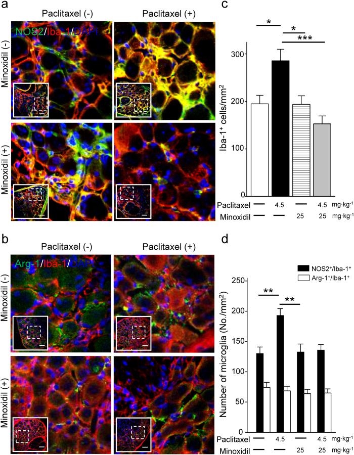 https://cdn.ncbi.nlm.nih.gov/pmc/blobs/4b11/5368986/2af0fc5d05c5/srep45366-f8.jpg