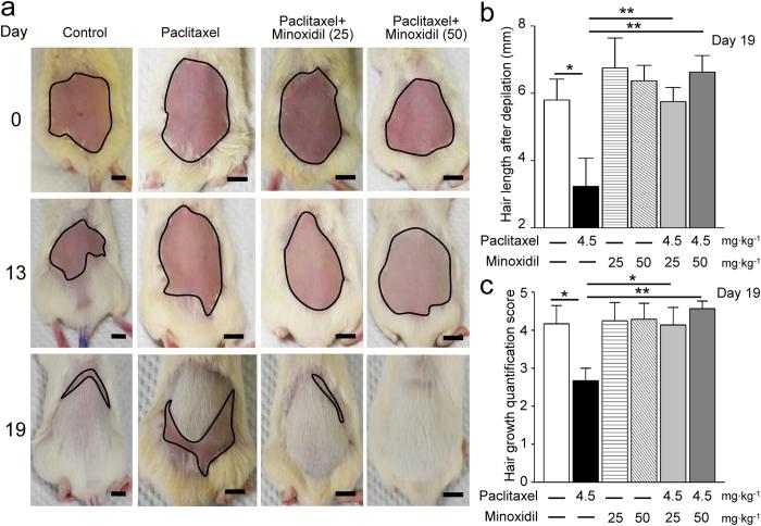 https://cdn.ncbi.nlm.nih.gov/pmc/blobs/4b11/5368986/8af807d1591d/srep45366-f5.jpg
