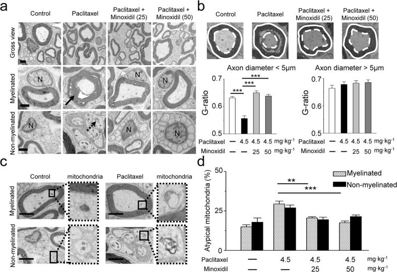 https://cdn.ncbi.nlm.nih.gov/pmc/blobs/4b11/5368986/c97fc2ee7b97/srep45366-f3.jpg