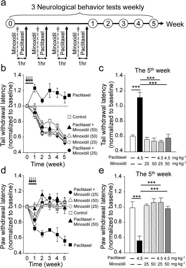 https://cdn.ncbi.nlm.nih.gov/pmc/blobs/4b11/5368986/d0901eecb790/srep45366-f2.jpg