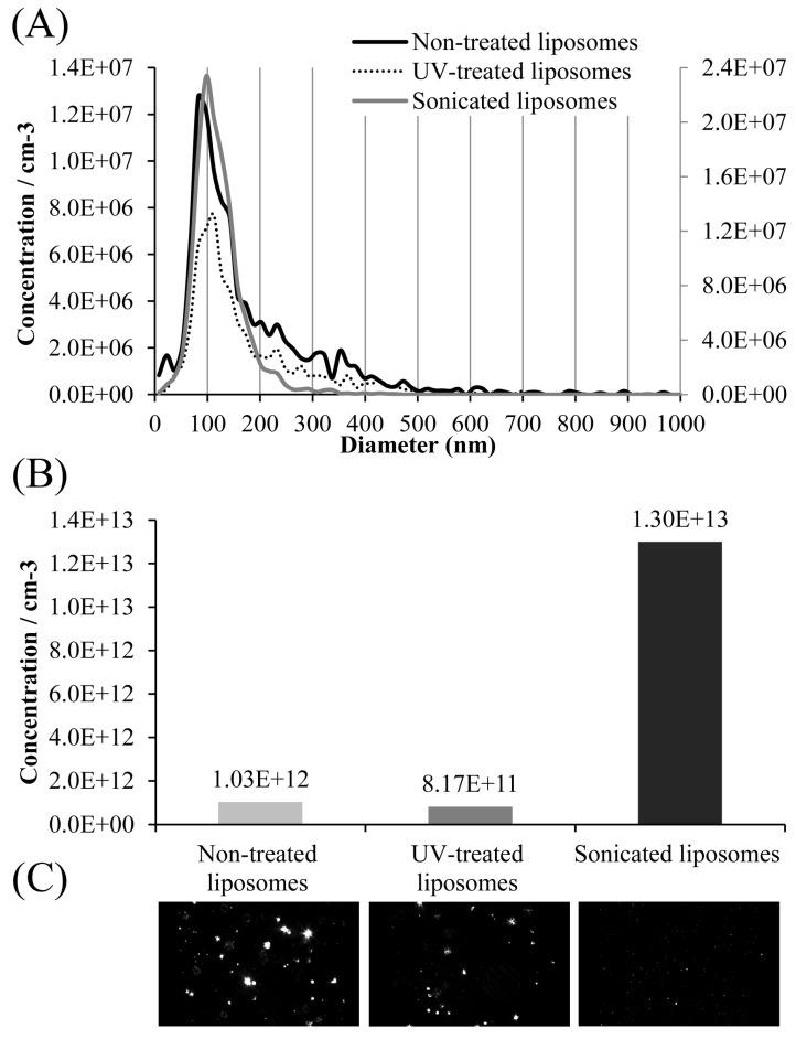 https://cdn.ncbi.nlm.nih.gov/pmc/blobs/4b12/12196410/2f6f323fc594/pharmaceutics-17-00776-g003.jpg