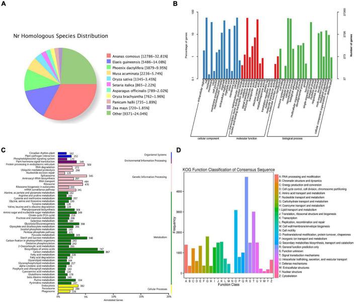 https://cdn.ncbi.nlm.nih.gov/pmc/blobs/4b12/8928477/70c1e81c89c8/fpls-13-818458-g005.jpg