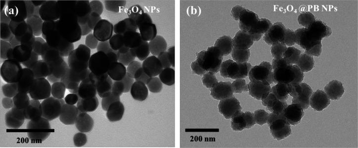 https://cdn.ncbi.nlm.nih.gov/pmc/blobs/4b13/10685236/235ed325729f/APJCP-24-2809-g003.jpg