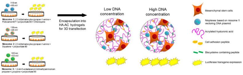 https://cdn.ncbi.nlm.nih.gov/pmc/blobs/4b13/8229096/db7582b94cff/pharmaceutics-13-00843-g004.jpg